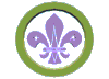 World Scouting